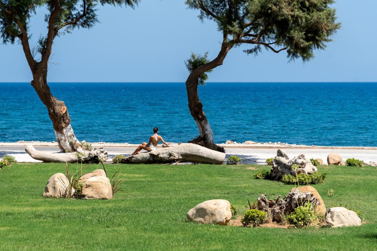 Artemis Seafront Villa, An Evanescence Sea Retreat, By Thinkvilla Tavronítisz Kültér fotó